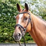 Whittaker Lynton Snaffle Bridle